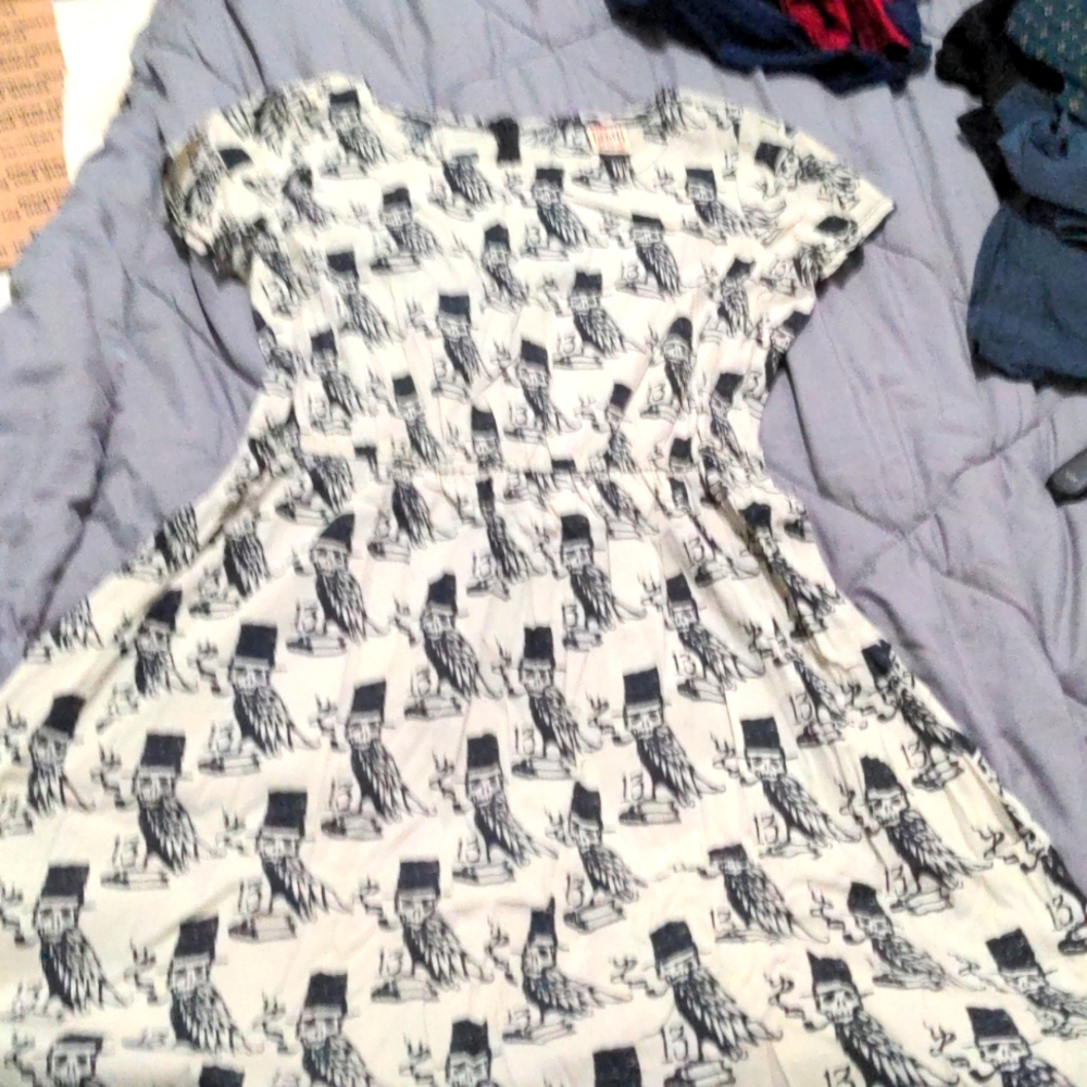 Lucky 13 raven Edgar Allen Poe skater dress